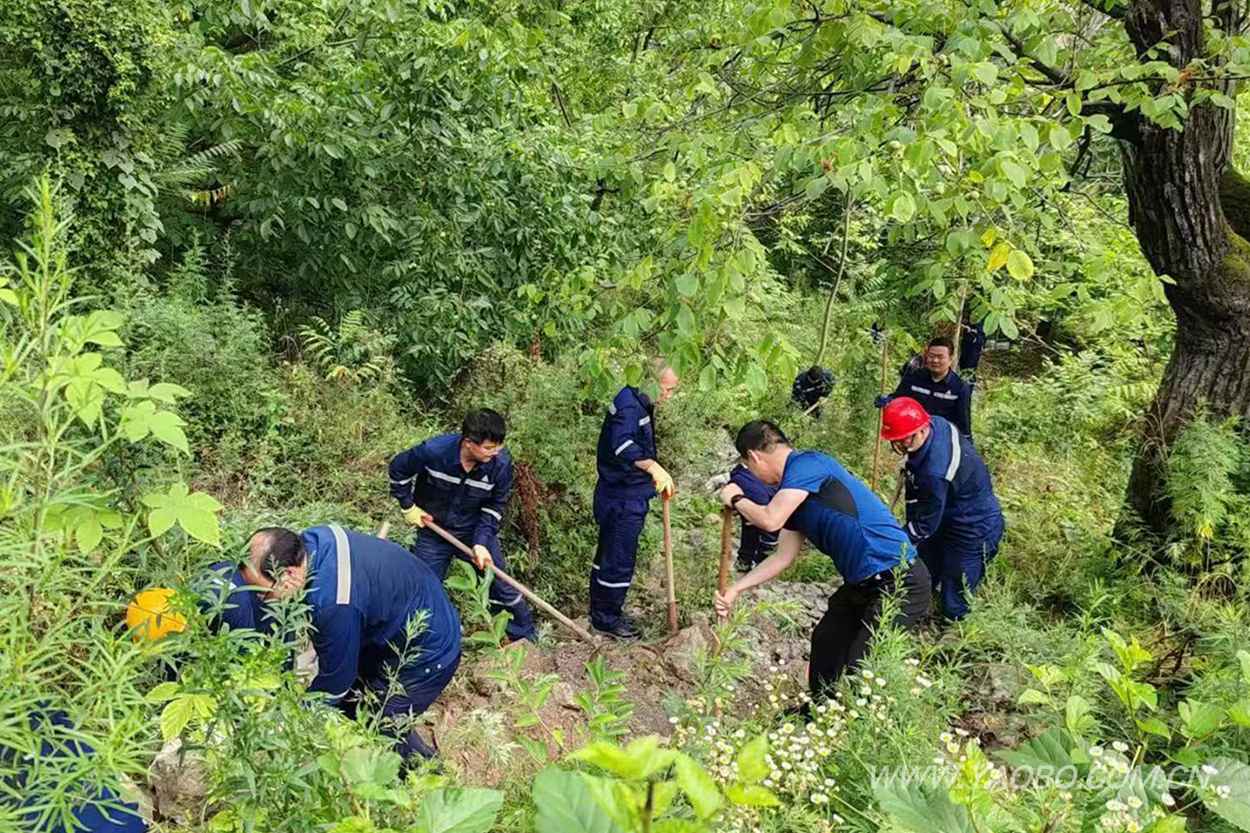 鎮安公司組織開(kāi)展義務勞動